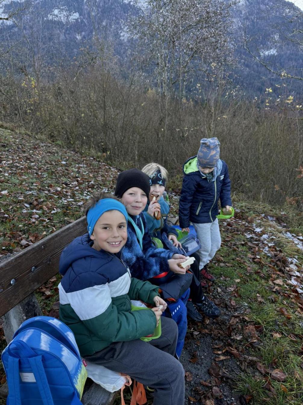 Wald 2