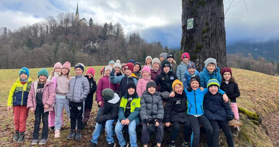 Klassenfoto Wald